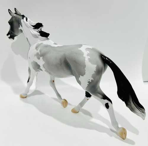 Peter Stone Horse 2021 BLUE VELVET SHOES-LE-5 BLUE ROAN PAINT PALOUSE Glossy - Picture 6 of 7