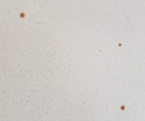 BERNARDO SGRILLI after Giuseppe Zocchi Antique Engraving  Florentine Metro 1744 - Picture 19 of 24