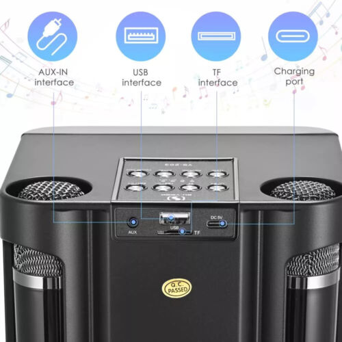 Bluetooth Karaoke Machine Portable Karaoke Speaker With 2 Wireless Microphones - Picture 11 of 12