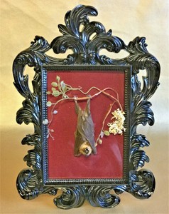 P1 Taxidermy Hanging Bat In Black Frame Pagan Witch Witchcraft Magic Image Is Loading P1 Taxidermy Hanging Bat In Black Frame Pagan