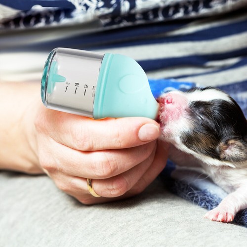 2 Pcs Pet Bottle Newborn Kitten Puppy Feeding Bottles Water Feeders - Picture 3 of 11