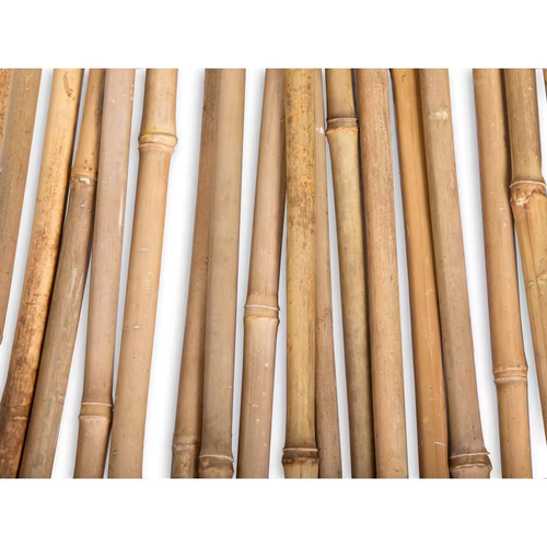 Natural Bamboo Pole Plant Stake Support 25-PACK 1/2 in. x 6 ft. Garden Stakes - Picture 9 of 12