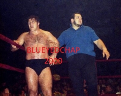 BRUNO SAMMARTINO & GORILLA MONSOON WRESTLER 8 X 10 WRESTLING PHOTO WWWF