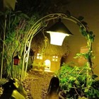 Bild 9 von 10