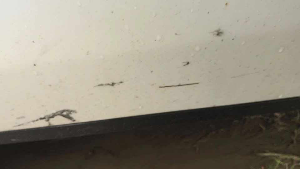 13 HONDA PILOT Front Door Drivers Side (No Shipping) Foto 2 de 3