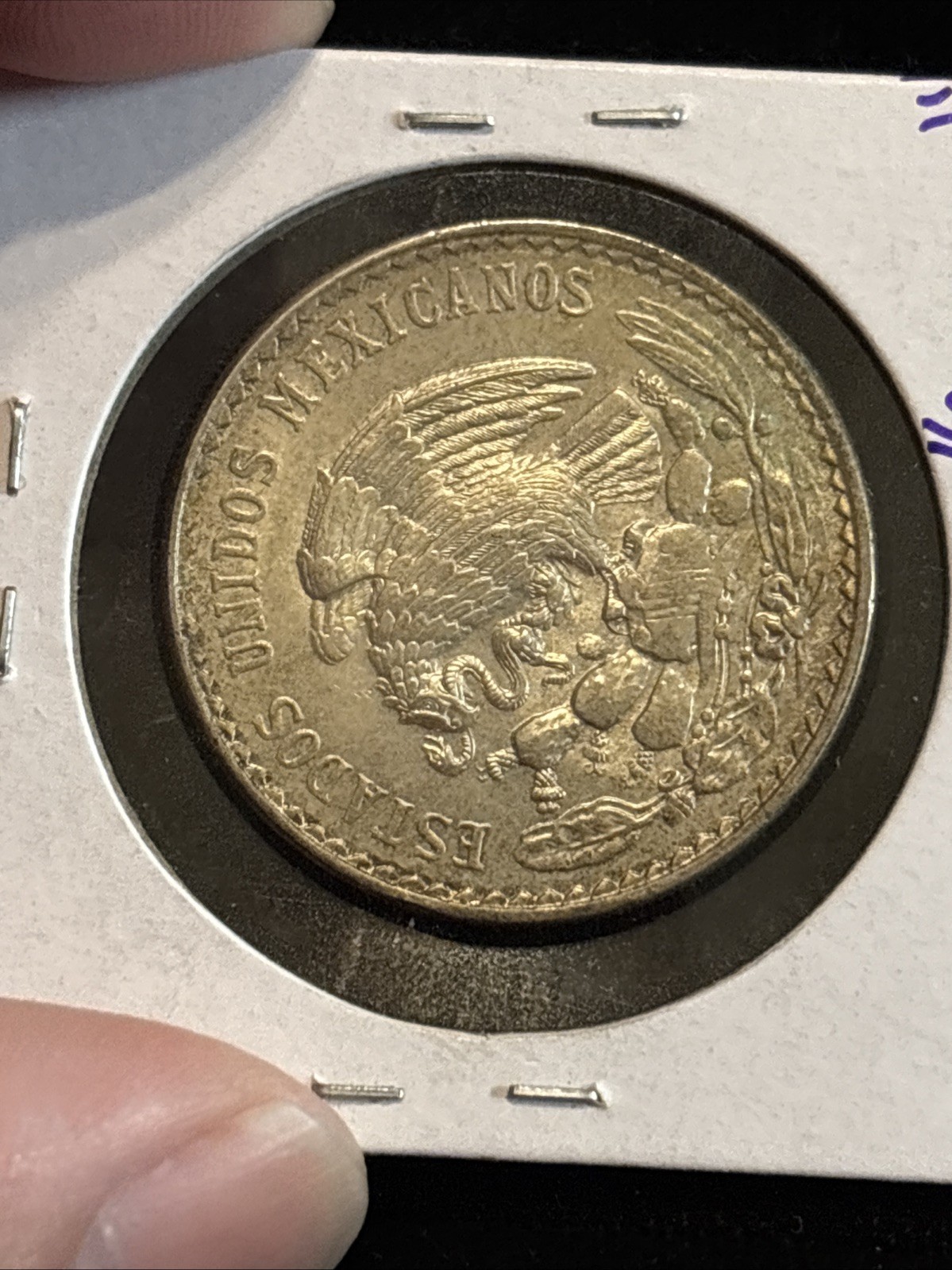 Picture 21 of 24