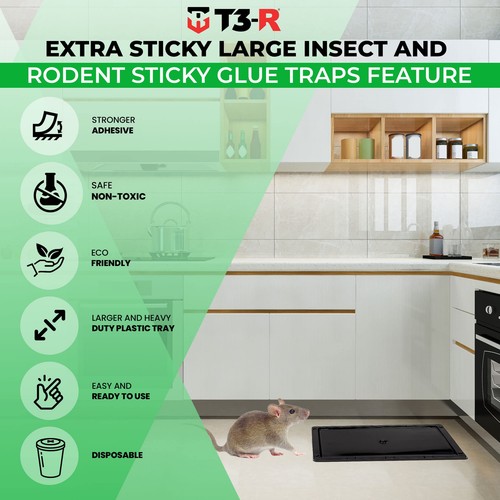 Sticky Traps for Bugs Extra Large (12 Pack) - Mouse and Insect Glue Boards - ... - Picture 3 of 7