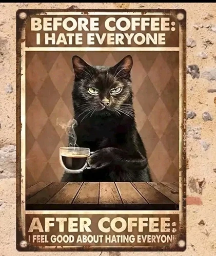 Vintage Cat Coffee Metal Poster 8x12 Retro Wall Art Decor Gift Waterproof