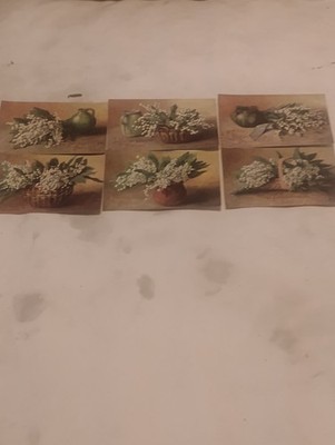 (DISCOVERY) Set (IMIENIN) 6 Raphael Tucks 9785 Signed-Rare Germany Varient