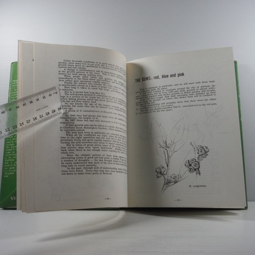 Gum Trees in South Australia by Margaret Saddler and Nancy Gemmell HC DJ 1969 - Foto 10 di 16