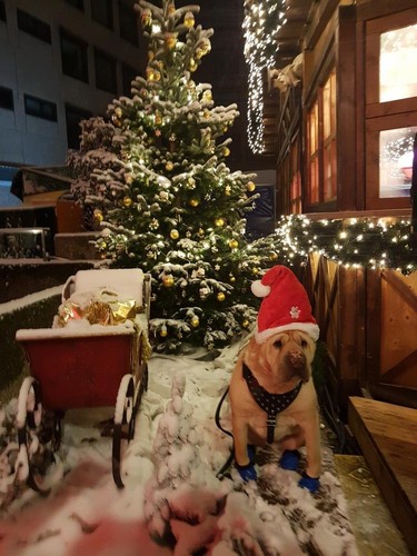 2er Set Weihnachtsmützen - Große Auswahl über 20 Modelle - Nikolausmützen Nikola - Bild 201 von 243