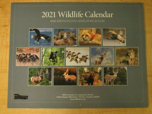 2021 Wildlife Calendar - Lions, Tigers, and Deer Oh My! - Picture 2 of 6
