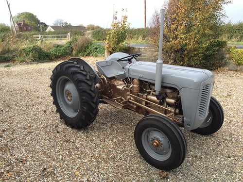 MF FE35 Grey/Gold Tractor Massey Ferguson 1957 - Picture 3 of 12