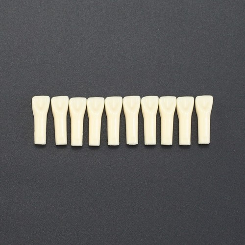 Dental Typodont Kilgore Nissin 200 Model 28 Teeth Replacement UR1 UL1 LR6 LL6 - Picture 20 of 113