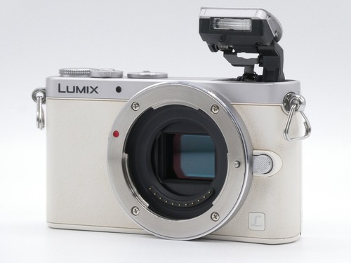 Englisch OK *EXC+5* LUMIX DMC GM1 weiß 16,0 MP Digitalkamera G 12-32 mm Objektiv - Bild 8 von 18