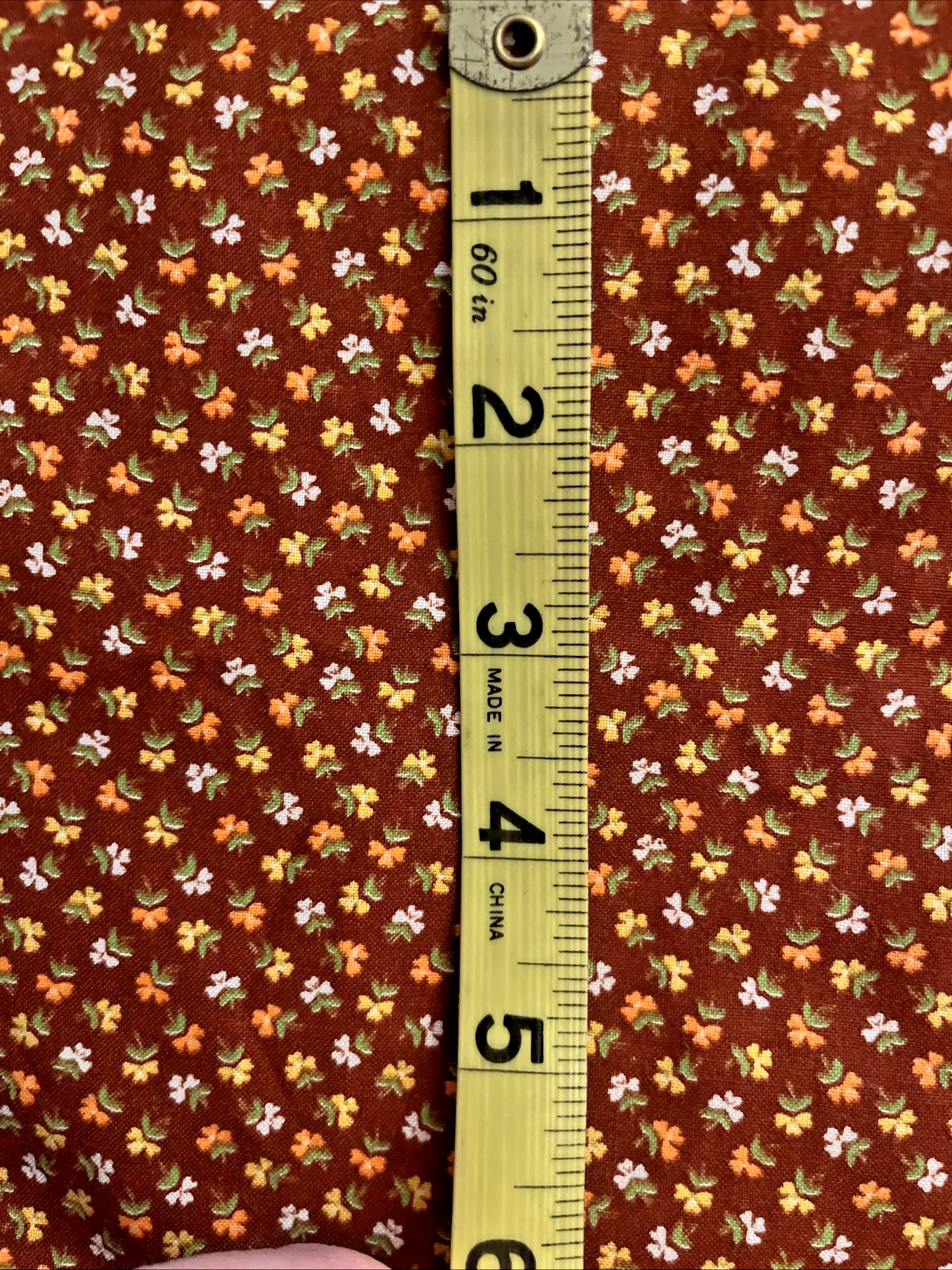 Picture 4 of 5