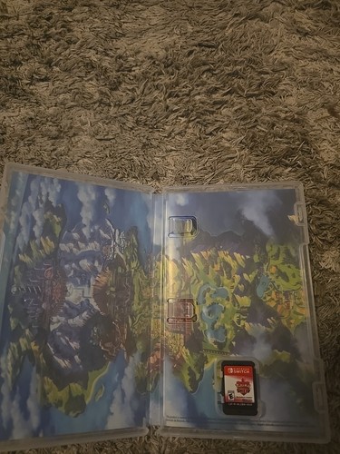 Pokemon Scudo - Nintendo Switch SPEDIZIONE GRATUITA - Foto 2 di 5