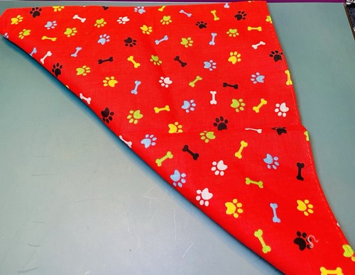 Lot of Assorted Pet Supplies – Clothes, Costumes, Harness, Storage Bin - Picture 11 of 13