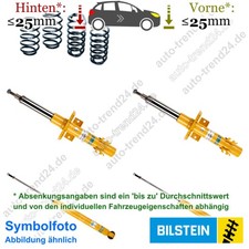 B6-Pro-Kit Fahrwerk 25mm u.a.: Seat Ibiza IV Sportcoupe 6J1 6P5, Bj. 2008-2016