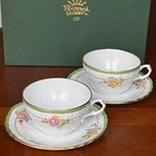 Richard Ginori Elba C S Pair Cups Saucer Italy限定 2012 Used
