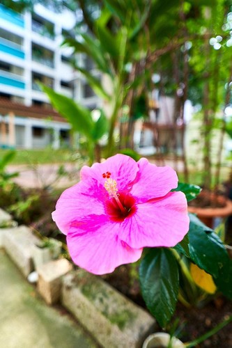 Rokinon 18mm F2.8 AF Kompaktes Vollformat Superweitwinkel Objektiv (Sony E) - Bild 7 von 11