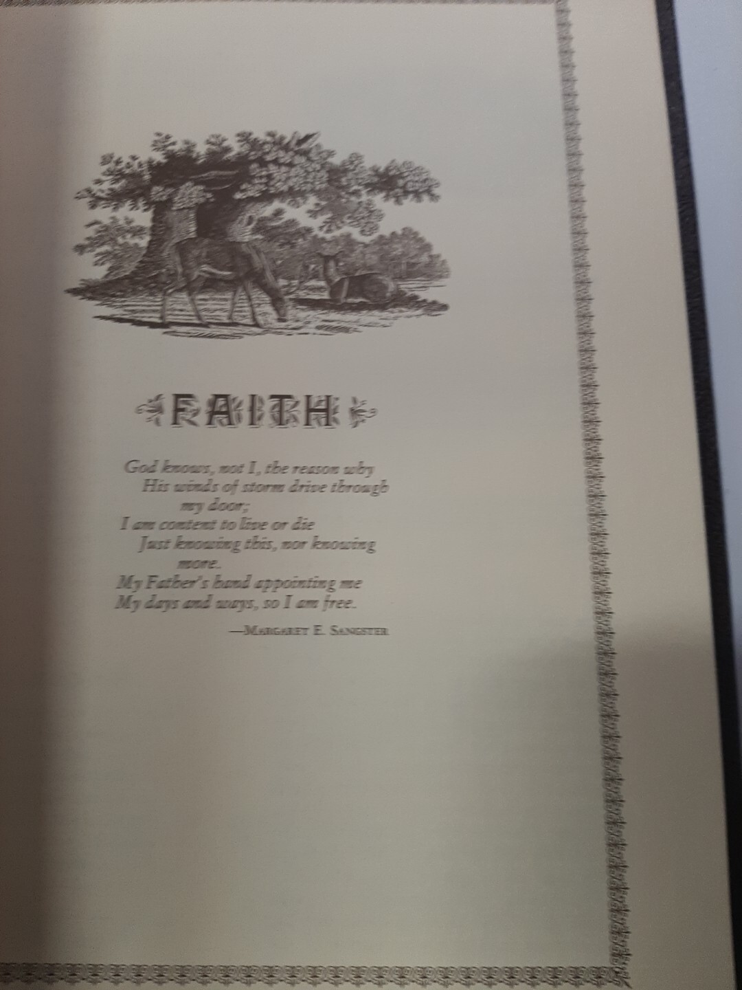 Picture 10 of 11
