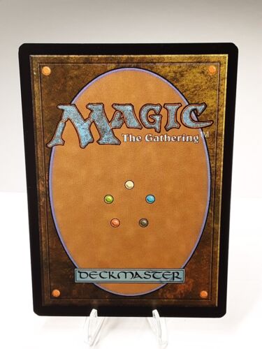 MTG - M14 - Forest - #247 - Lightly Played - Picture 2 of 5