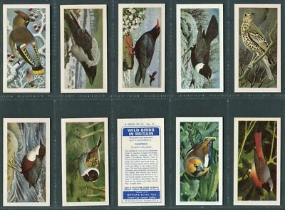 BROOKE BOND 1965 - ''WILD BIRDS IN BRITAIN'' - PICK YOUR CARD