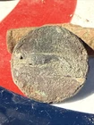 Dug Civil War 💥 🇺🇸 💣 Confederate Sporting Dog Button PH LA