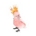  Simulation Moluccan Cockatoo Model Bird Figurine Statue Decoration