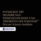 Bild 10 von 11