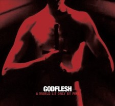 A World Lit Only By Fire by Godflesh [Audio CD]