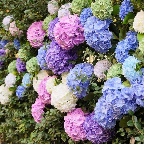 3pcs Extra Large Realistic Hydrangea Flowers Wedding Home Office Decor Blue New - Picture 6 of 6