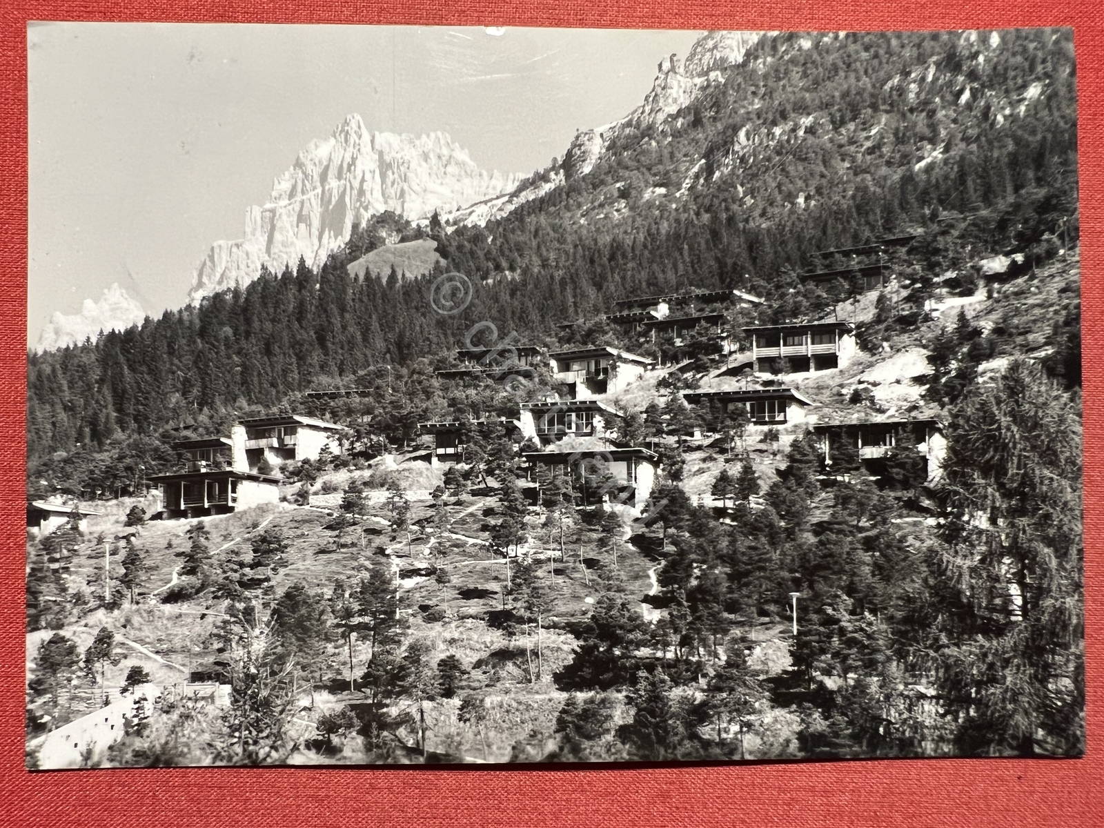 Foto 1 di 2