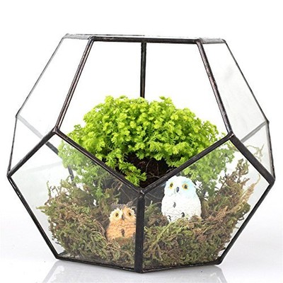 Black Glass Geometric Terrarium Container Modern Tabletop Window
