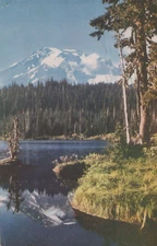 Mount Rainier From Reflection Lake Washington Posted Linen Vintage Postcard