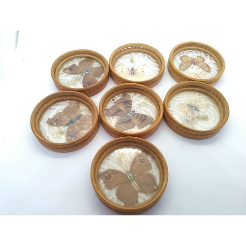 ¿Mariposa/polilla prensada vintage? /Juego de 7 posavasos de madera follaje - Imagen 10 de 12