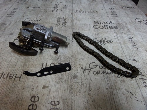 VW Audi Nockenwellen Kettenspanner 058109088 D HYR undKette