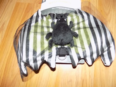 Size Small Dog Harness Halloween Themed Black White Striped Beetle Bug New