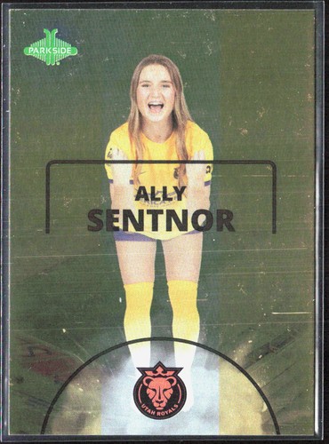 2024 PARKSIDE NWSL VOL 1 WOMEN'S SOCCER STADIUMSCAPES PARALLELS-PICK FROM LIST - Picture 8 of 57