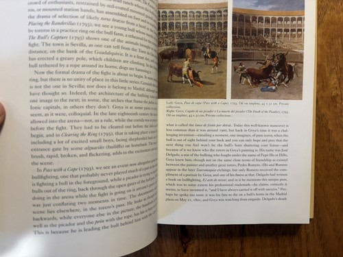 Goya By Robert Hughes Hardcover 2003 First Edition - Picture 9 of 9