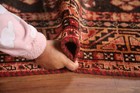 Bild 7 von 12