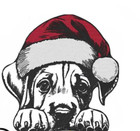 Embroidered Rhodesian Ridgeback in Christmas Santa Hat Hand Towel Personalized