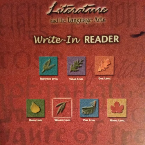 The EMC write in reader reading strategies and test practice - Picture 2 of 11