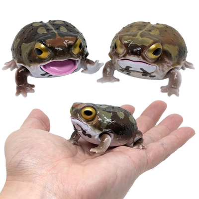 Japan Bandai Gashapon Common Rain Frog Deformed Figure 2in