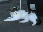 Bild 12 von 12