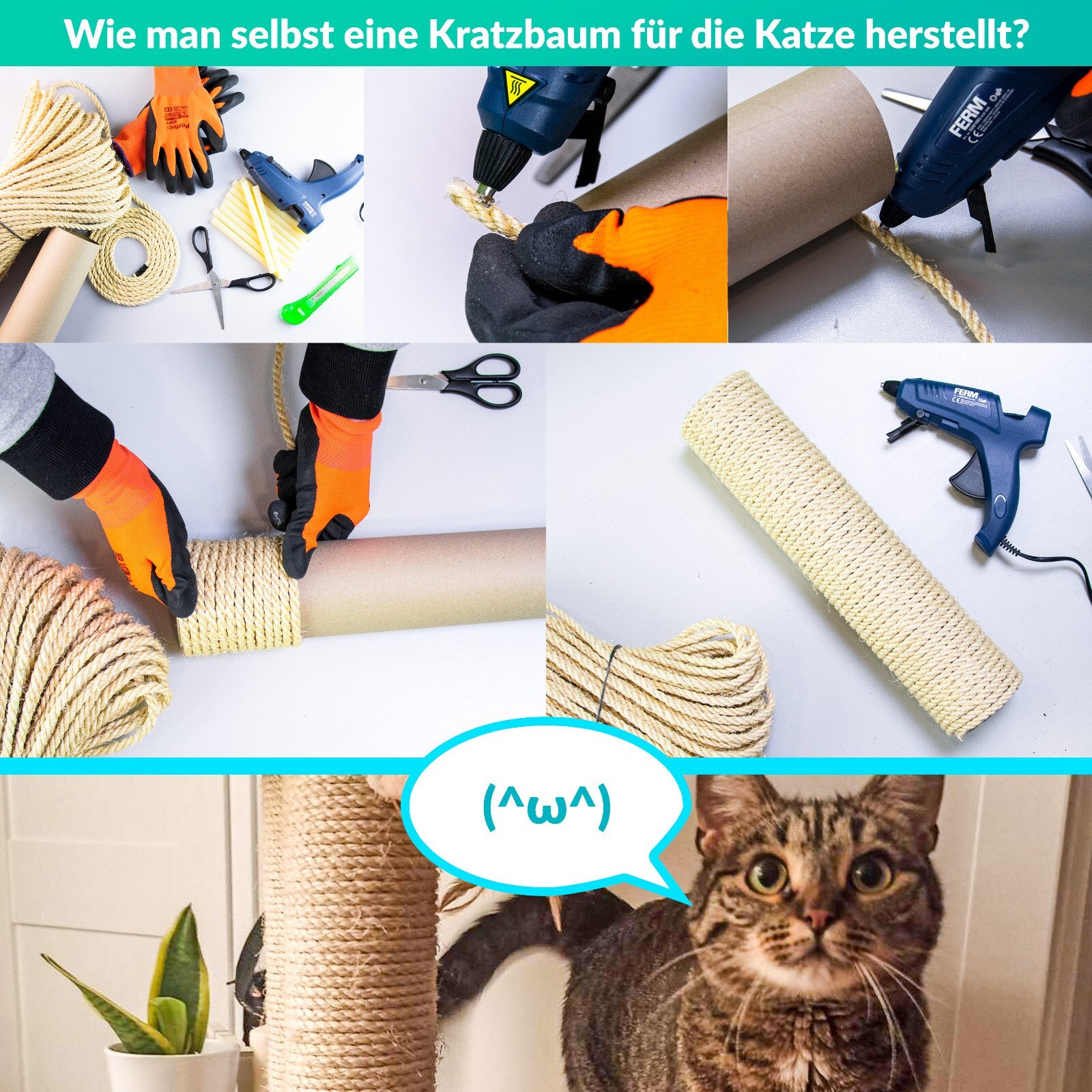 Bild 6 von 11