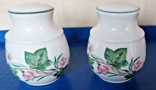 ROYAL DOULTON EXPRESSIONS SALT AND PEPPER POTS