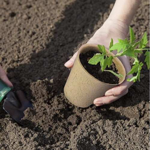 50 Biodegradable Seedling Pots 8cm with 20 Labels Eco-Friendly Plant Starter Pot - Picture 7 of 11
