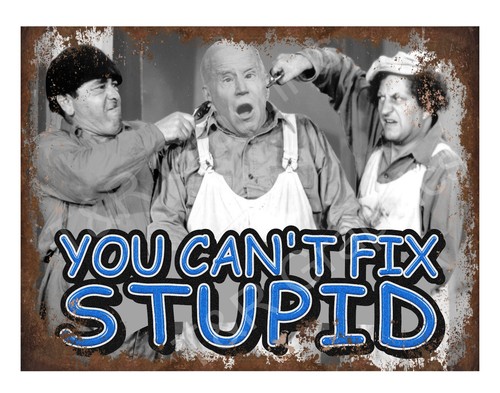 Joe Biden, You Can't Fix Stupid 9''x12'' Alum, insegna in metallo, insegna vintage - Foto 1 di 2